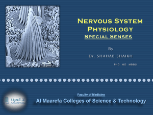 017-018 Special Senses lecture 3-4 Physiology of Hearing