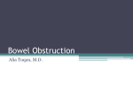 Bowel Obstruction
