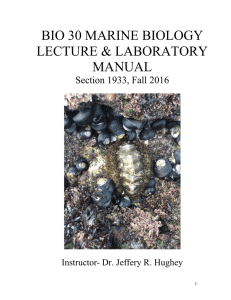 bio 30 marine biology lecture manual