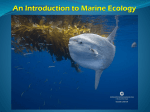 life in the marine environment some basics of biology