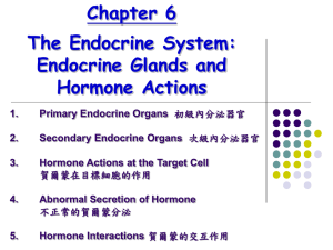 Chapter 6 The endocrine system