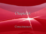 Ch. 4 Consciousness