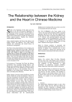 The Relationship between the Kidney and the Heart in Chinese