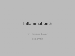 Inflammation 5