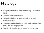 Regulation of Heart Rate Cardioaccelatory center