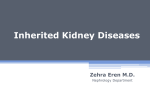 Cystic and Inherited Kidney Diseases