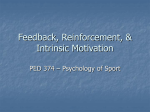 Sample Lecture: "Feedback Reinforcement and Intrinsic Motivation"