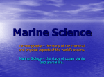 Marine Science - River Mill Academy
