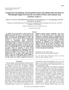 Comparative thyroidology: thyroid gland location and iodothyronine