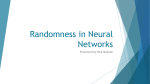 Randomness in Neural Networks