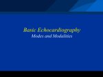 Basic Echocardiography - Al