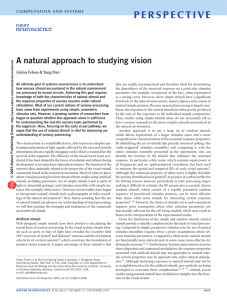 A natural approach to studying vision