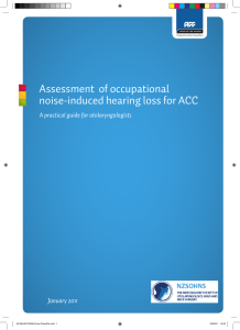 Assessment of occupational noise