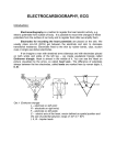 instructions pdf