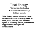 Tidal Energy - Global Coral Reef Alliance