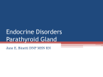 Endocrine Disorders Parathyroid Gland