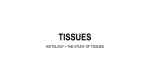 tissues - Perkins Science