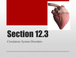 Section 12.3 - WordPress.com