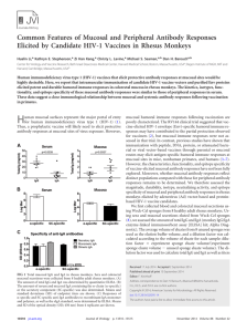 Common Features of Mucosal and Peripheral Antibody Responses