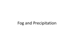 Fog and Precipitation