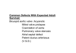 Common Defects With Expected Adult Survival: Acyanotic : Bicuspid