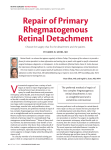 Repair of Primary Rhegmatogenous Retinal Detachment