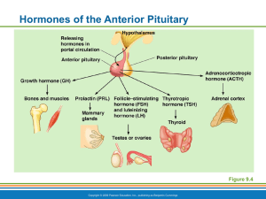 Hormones of the Anterior Pituitary 6 Anterior Pituitary Hormones
