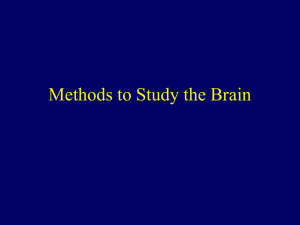 Methods to Study the Brain