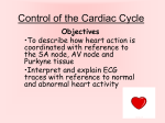 4_control_of_heart_contraction
