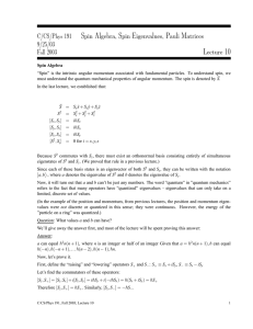 Spin Algebra, Spin Eigenvalues, Pauli Matrices Lecture 10