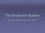 The Endocrine System