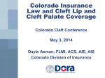 Dayle Axman: Colorado Insurance Law and Cleft Lip and Palate