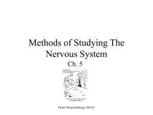 Methods of Studying The Nervous System