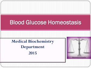 Glucose Homeostasis