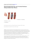 Hemorheological Disorders and Arteriolar Resistance