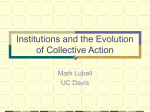 Collective Action Behavior and Social Institutions