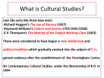 What is Cultural Studies?