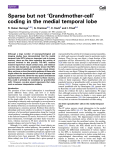 Sparse but not `Grandmother-cell` coding in the medial temporal lobe