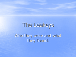 The Leakeys