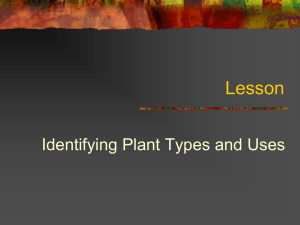 Unit C 4-4: Identifying Plant Types and Uses