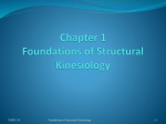 Foundations of Structural Kinesiology