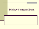 REVIEW Biology, 1st Semester