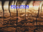 pollution - Nervi