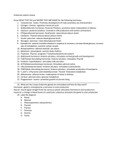 Endocrine system review Know WHAT THEY DO and WHERE THEY