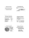 steroid hormone-97