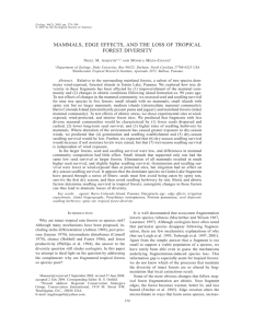 mammals, edge effects, and the loss of tropical forest diversity