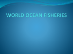 WORLD OCEAN FISHERIES
