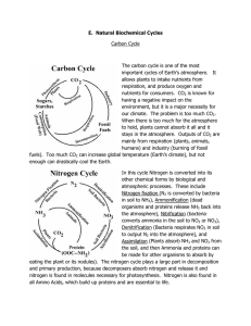 E. Natural Biochemical Cycles Carbon Cycle The carbon cycle is