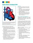 Cardiac Defects: Tetralogy of Fallot Tetralogy of Fallot has four