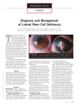 Diagnosis and Management of Limbal Stem Cell Deficiency